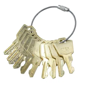 12PCS A126 Ignition Switches Key Compatible with Pride Mobility Scooter GoGo, Celebrity, Victory, Legend, Maxima, Revo, Linear Keypads AK-11 MDKP AKR-1