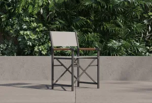 Aluminum Dining Director's Chair By Outer