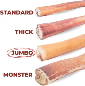 Bully Bunches Premium 6 Inch Jumbo Odor-Free Bully Sticks for Medium & Large Dogs - Long Lasting Chews for Oral Care - All Natural & Single Ingredient, 100% Beef Dog Treat, Rawhide Free (12 Pk)