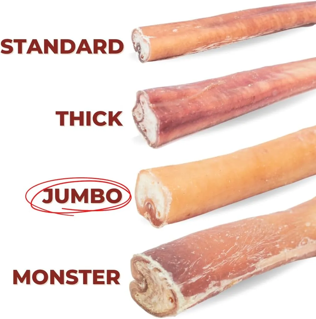 Bully Bunches Premium 6 Inch Jumbo Odor-Free Bully Sticks for Medium & Large Dogs - Long Lasting Chews for Oral Care - All Natural & Single Ingredient, 100% Beef Dog Treat, Rawhide Free (12 Pk)