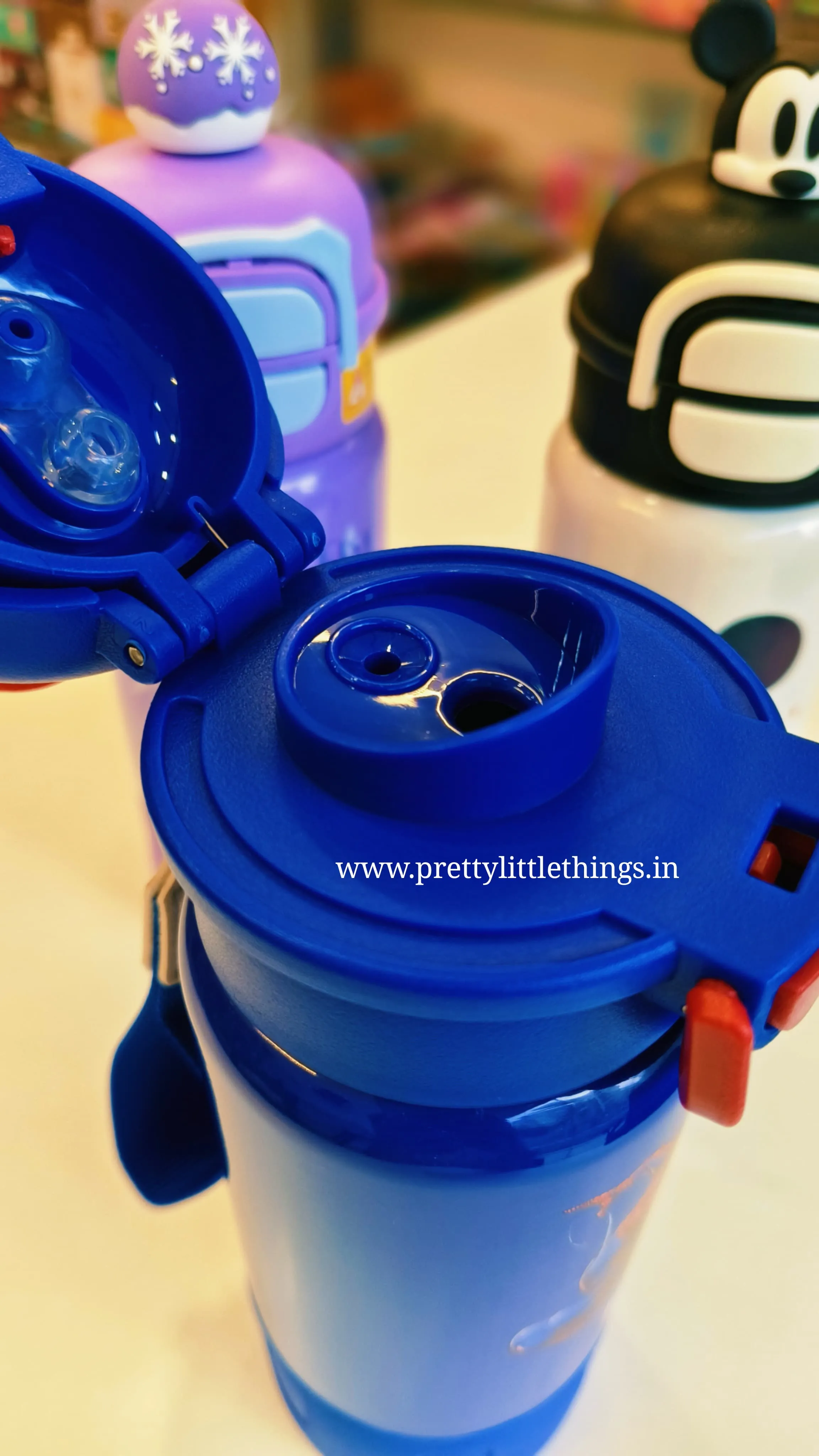 Disney Dual Sipper Insulated Bottles