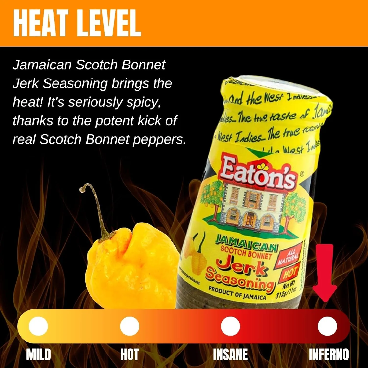Eaton's Authentic Jamaican Jerk Seasoning - Easy to Use, Spicy, and Flavorful Caribbean Jerk Seasoning, BBQ Rub, Grilled Chicken Seasoning or Marinade with Jerk Cooking Recipe eBook (Scotch Bonnet)