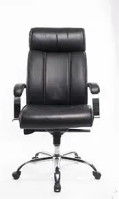 Executive Office Chair(white house)