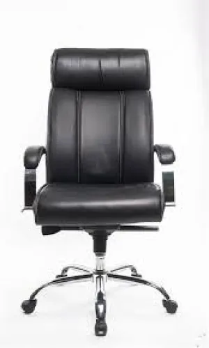 Executive Office Chair(white house)