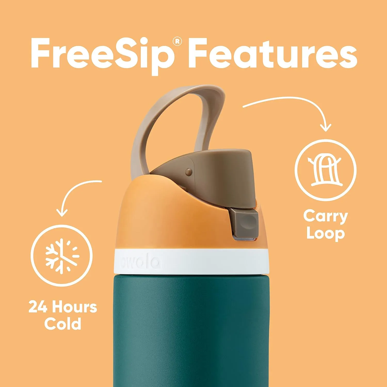 FreeSip Insulated Stainless Steel Water Bottle with Straw for Sports and Travel, BPA-Free, 24-oz, Boneyard