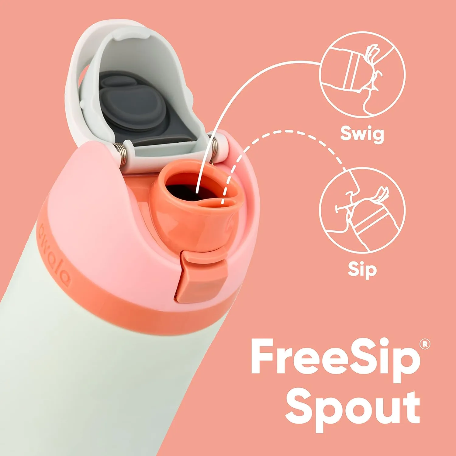 FreeSip Insulated Stainless Steel Water Bottle with Straw for Sports and Travel, BPA-Free, 24-oz, Boneyard