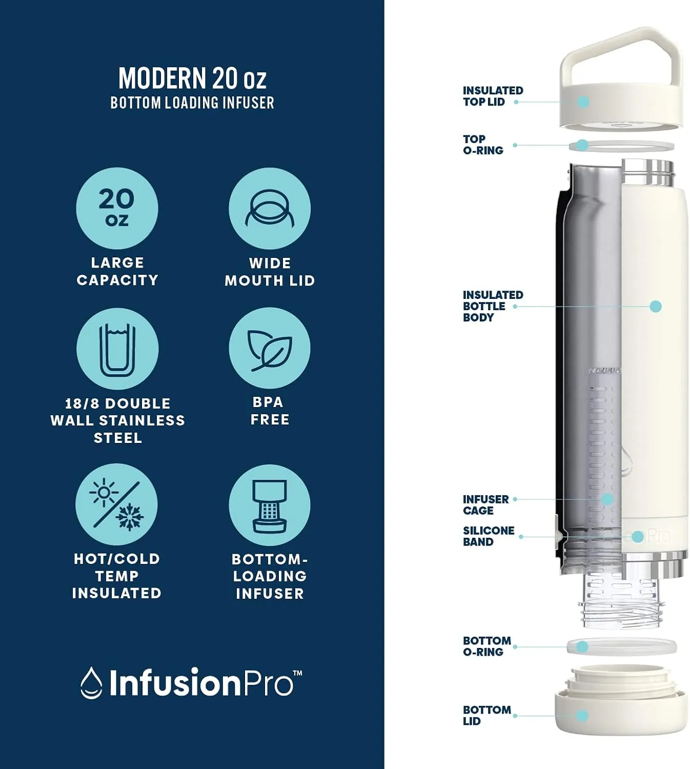 Infusion Pro Fruit Infuser Water Bottle - Vacuum Insulated (20 oz) Stainless Steel : Fruit Infusion Recipe eBook : Bottom Loading for More Flavor : Easy Cleaning : Great Gift