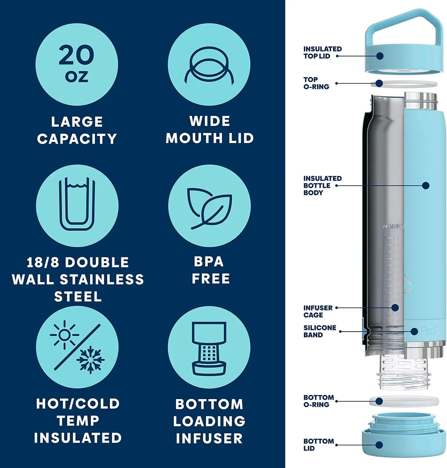 Infusion Pro Fruit Infuser Water Bottle - Vacuum Insulated (20 oz) Stainless Steel : Fruit Infusion Recipe eBook : Bottom Loading for More Flavor : Easy Cleaning : Great Gift