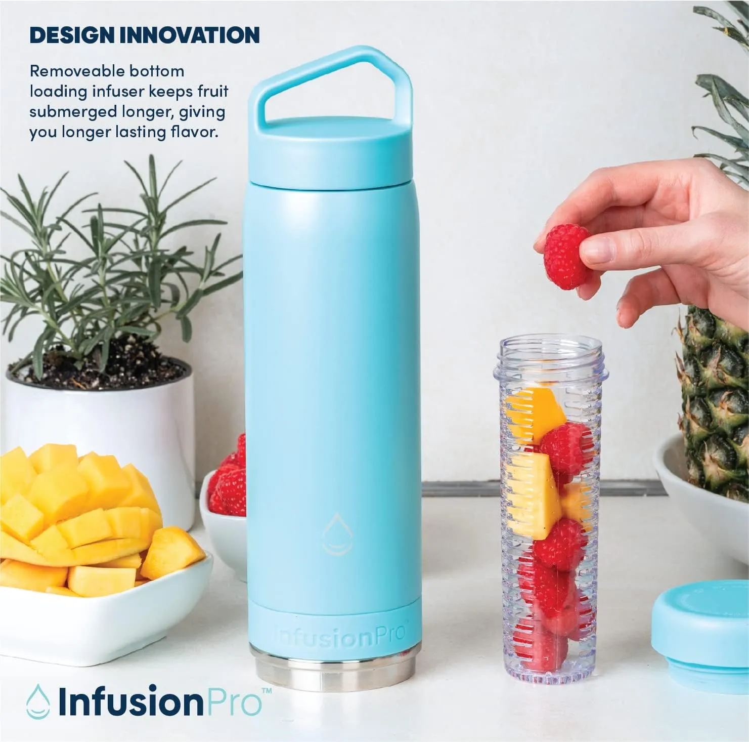 Infusion Pro Fruit Infuser Water Bottle - Vacuum Insulated (20 oz) Stainless Steel : Fruit Infusion Recipe eBook : Bottom Loading for More Flavor : Easy Cleaning : Great Gift