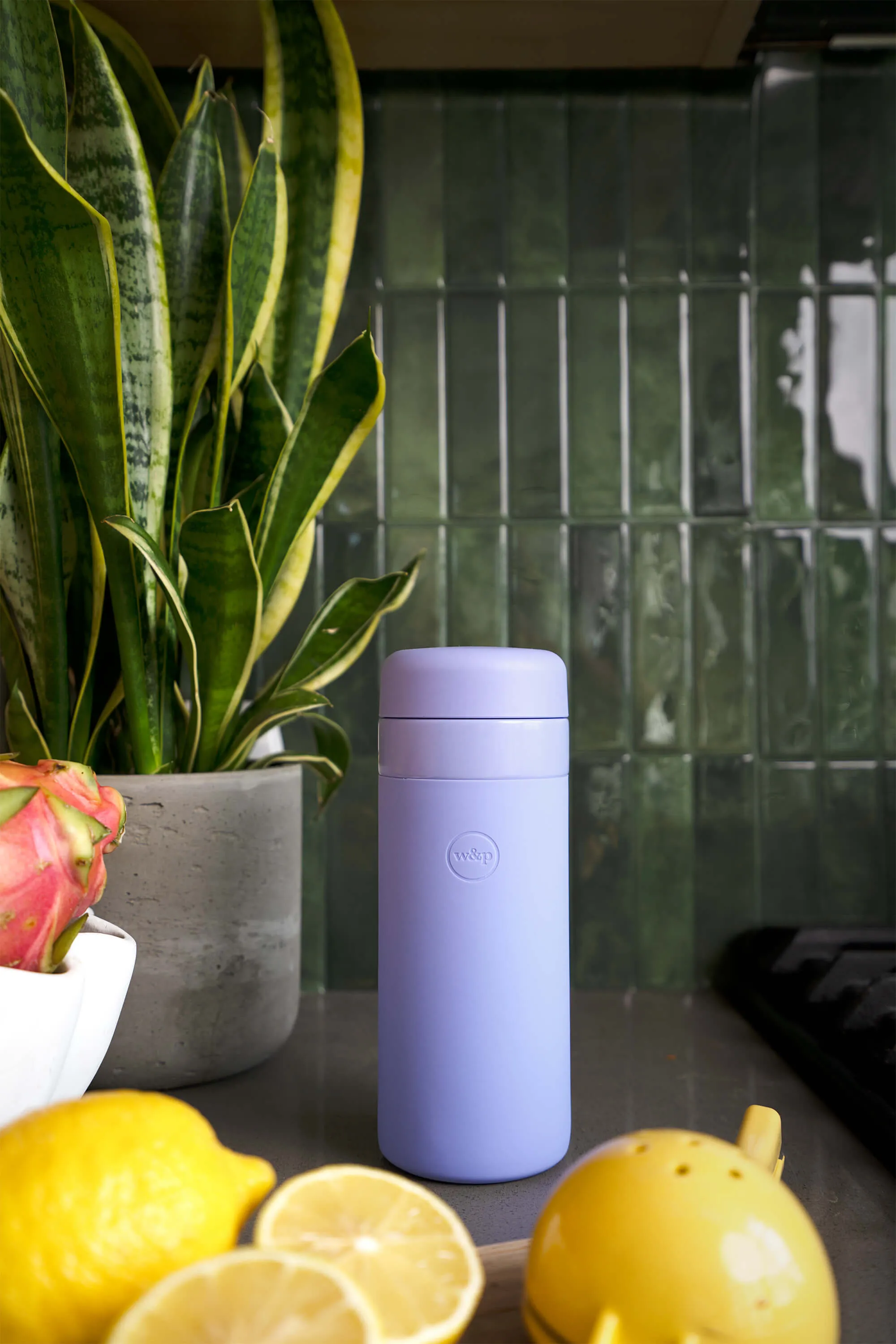 Insulated Bottle