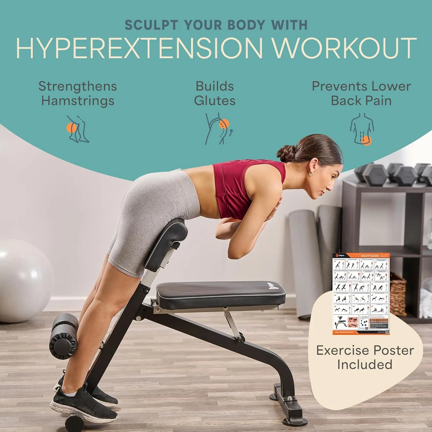 Lifepro Roman Chair Hyperextension Bench - Adjustable Back Extension Machine for Glutes, Hamstrings, and Lower Back - Foldable Multipurpose Exercise Equipment for Home Gym