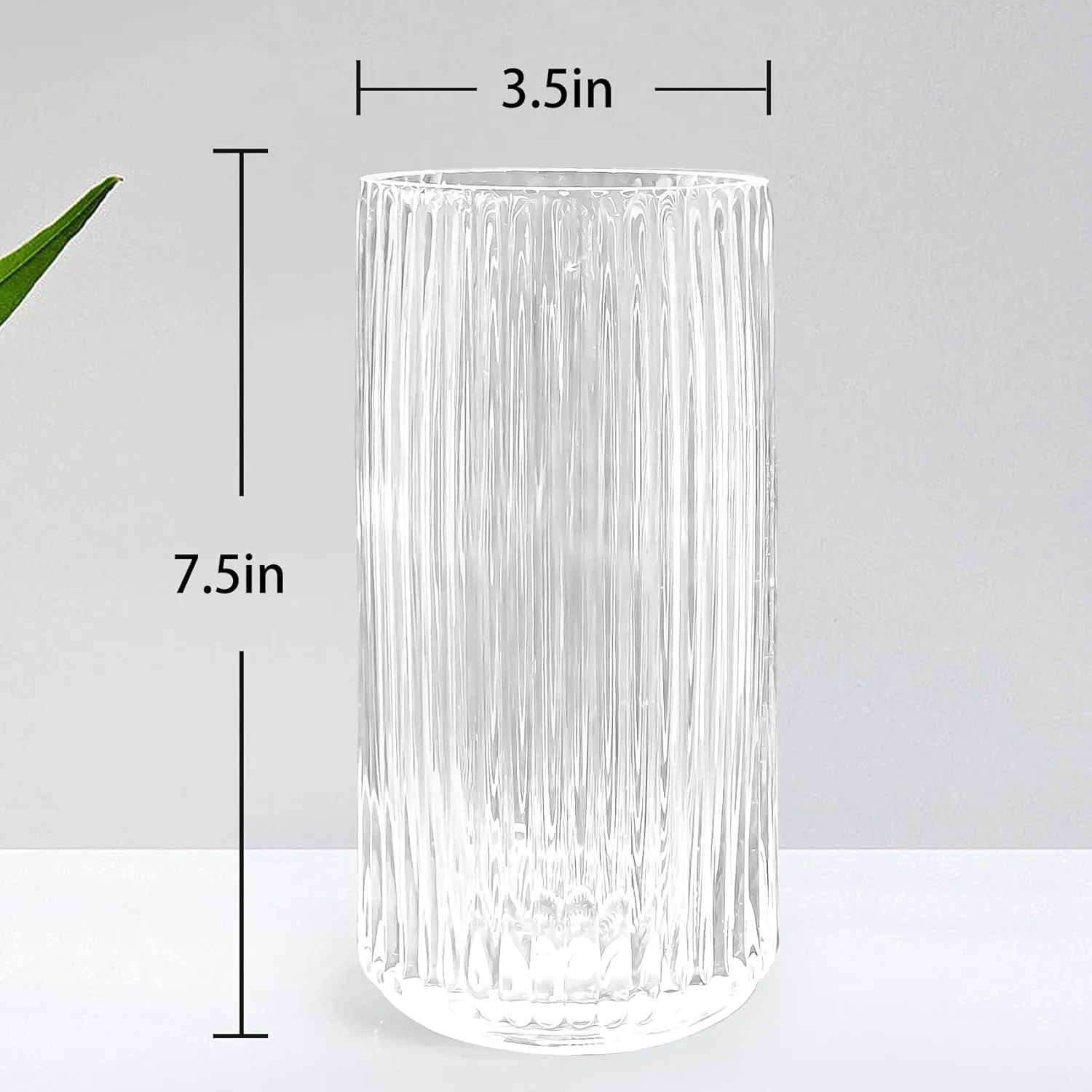 Muyan 7.5" Flower Vase for Decor Ribbed Glass Vase Modern for Centerpieces Desktop Home Office Dining Living Room Wedding (Clear)