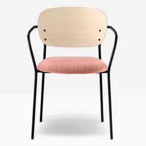 Pedrali Jazz 3705 padded chair with armrests and ash backrest