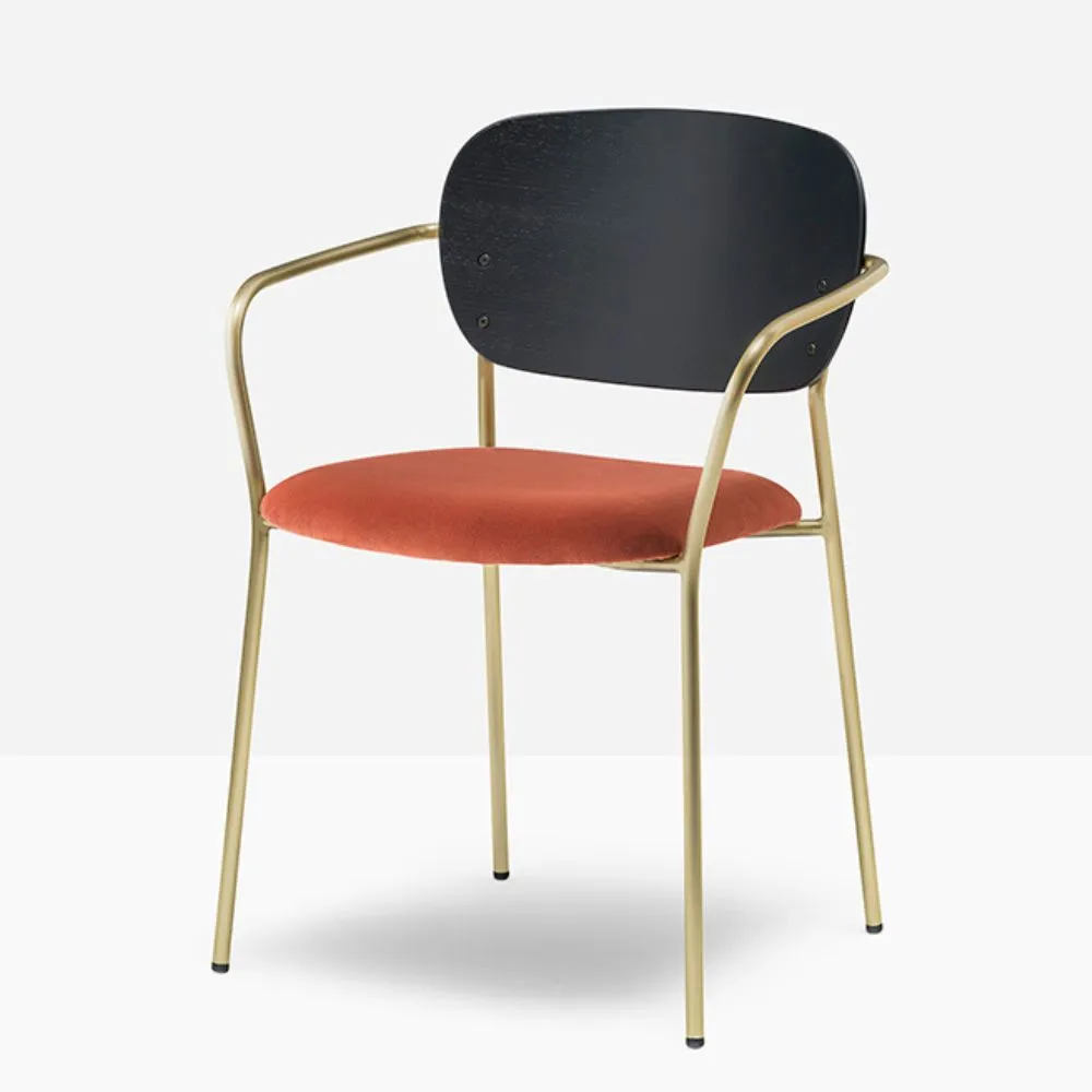 Pedrali Jazz 3705 padded chair with armrests and ash backrest