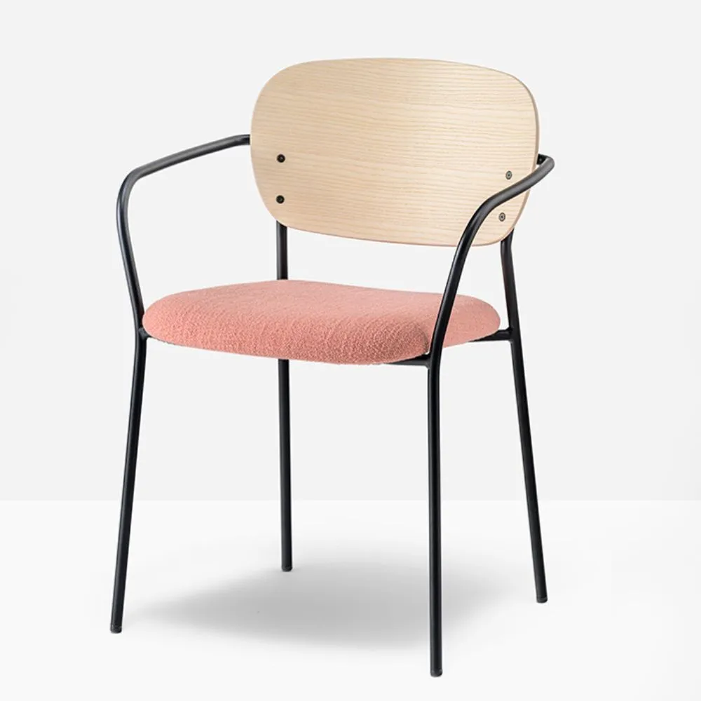 Pedrali Jazz 3705 padded chair with armrests and ash backrest