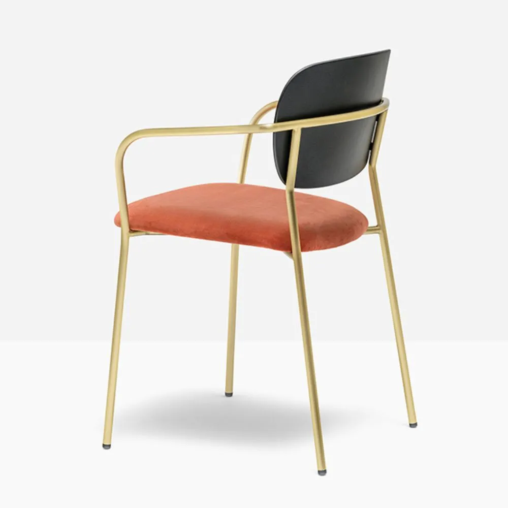 Pedrali Jazz 3705 padded chair with armrests and ash backrest
