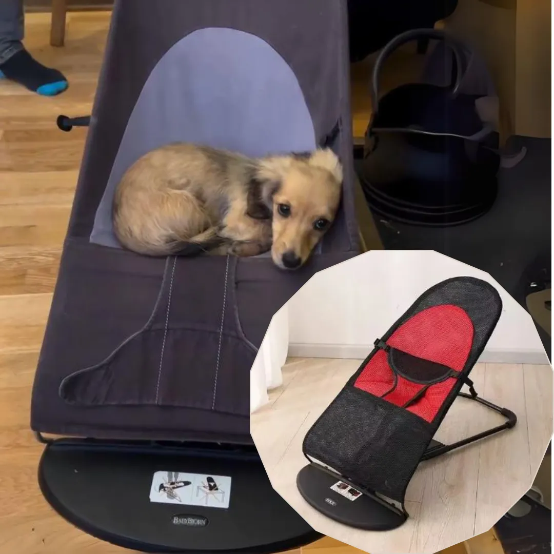 Portable Rocking Chair for Dachshund