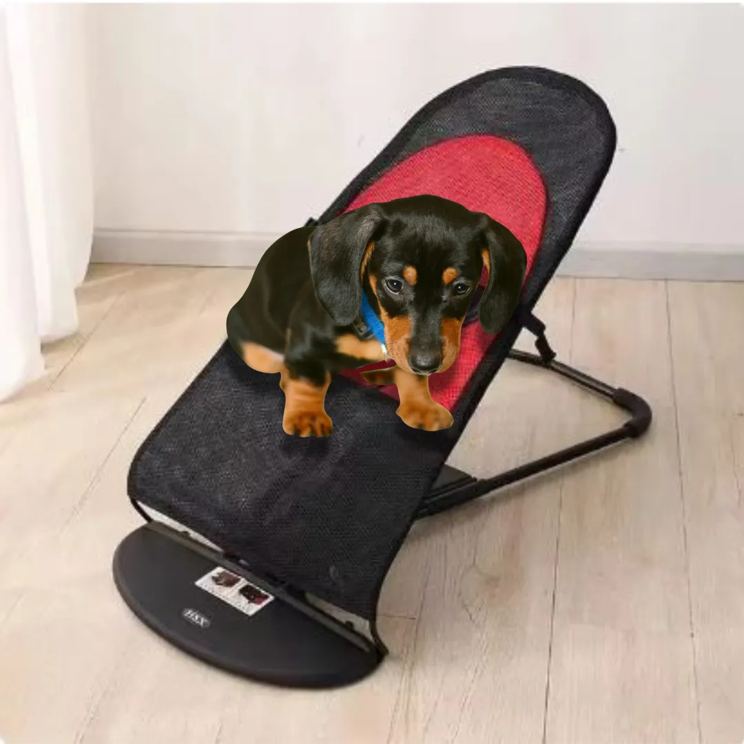 Portable Rocking Chair for Dachshund