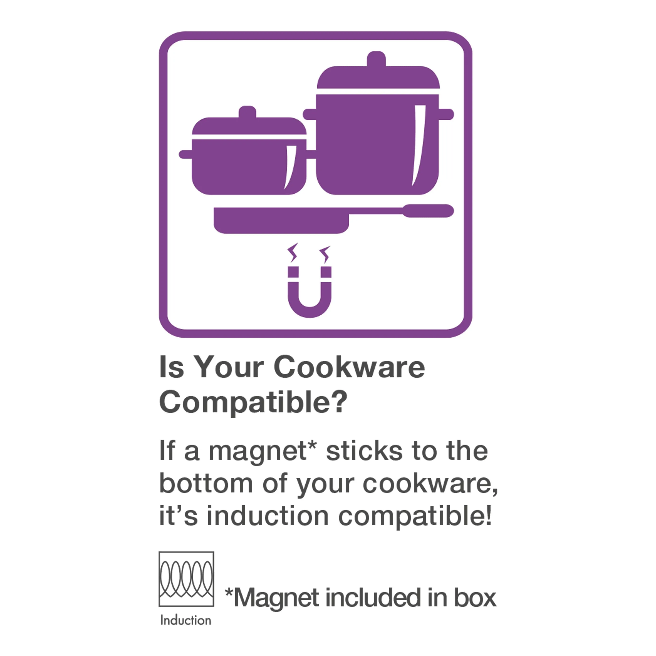 Salton Portable Induction Cooktop