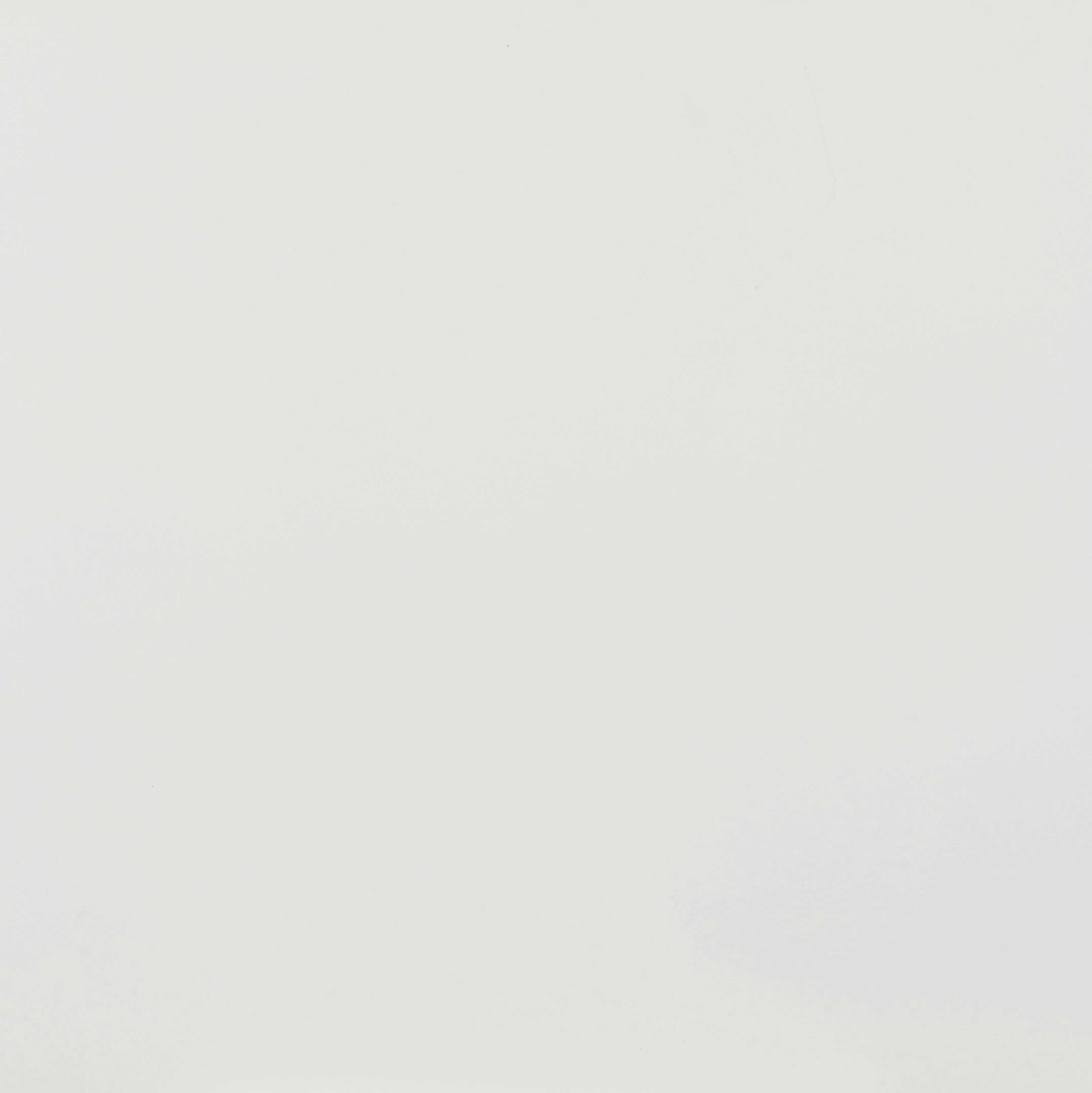Shio Dining Chair White