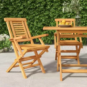 Solid Teak Wood Folding Patio Chairs 2 Pack Outdoor Furniture Foldable Garden Chairs with Slatted Design for Poolside, Backyard, Camping 22"x24.8"x35.4"