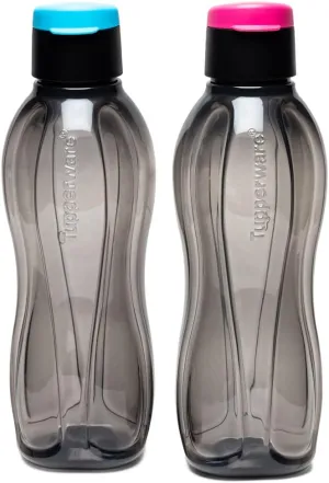 Tupperware Aquasafe Xtreme 1L Fliptop Bottle 2pc